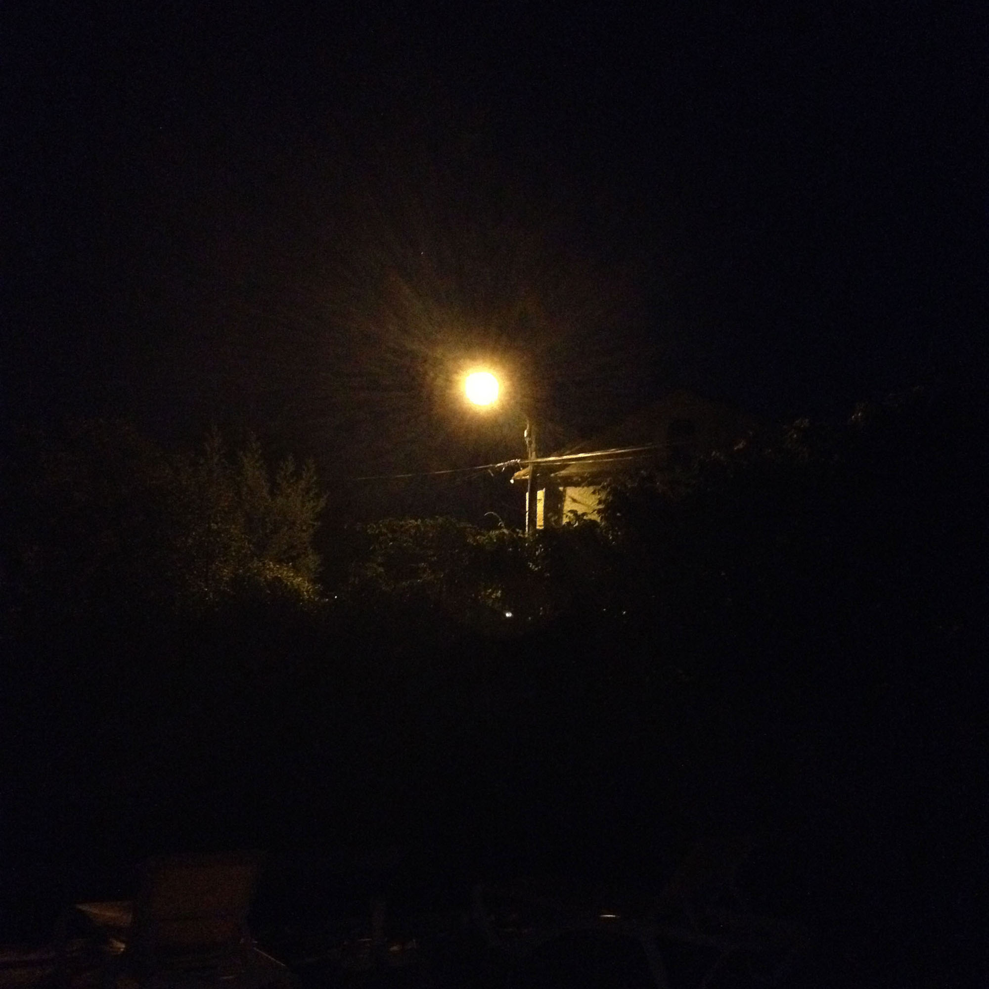 Nightfall_16