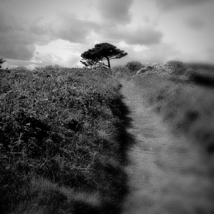 Bréhat_Brittany_2015