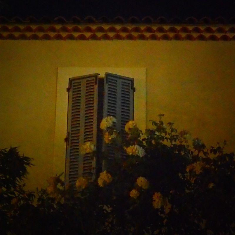 UnCrepusculeTeintedeBleu_23