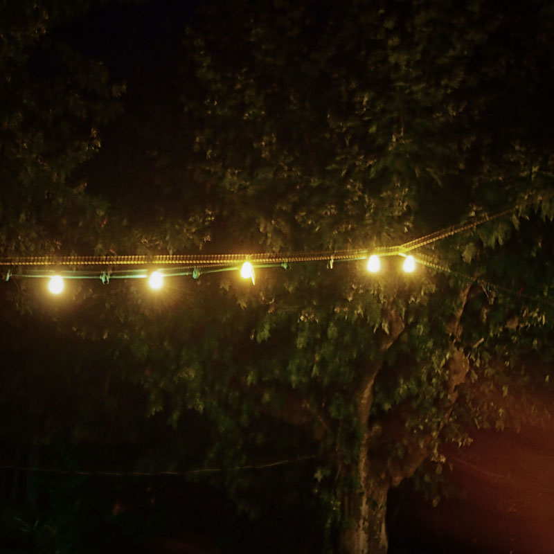 Nightfall_13