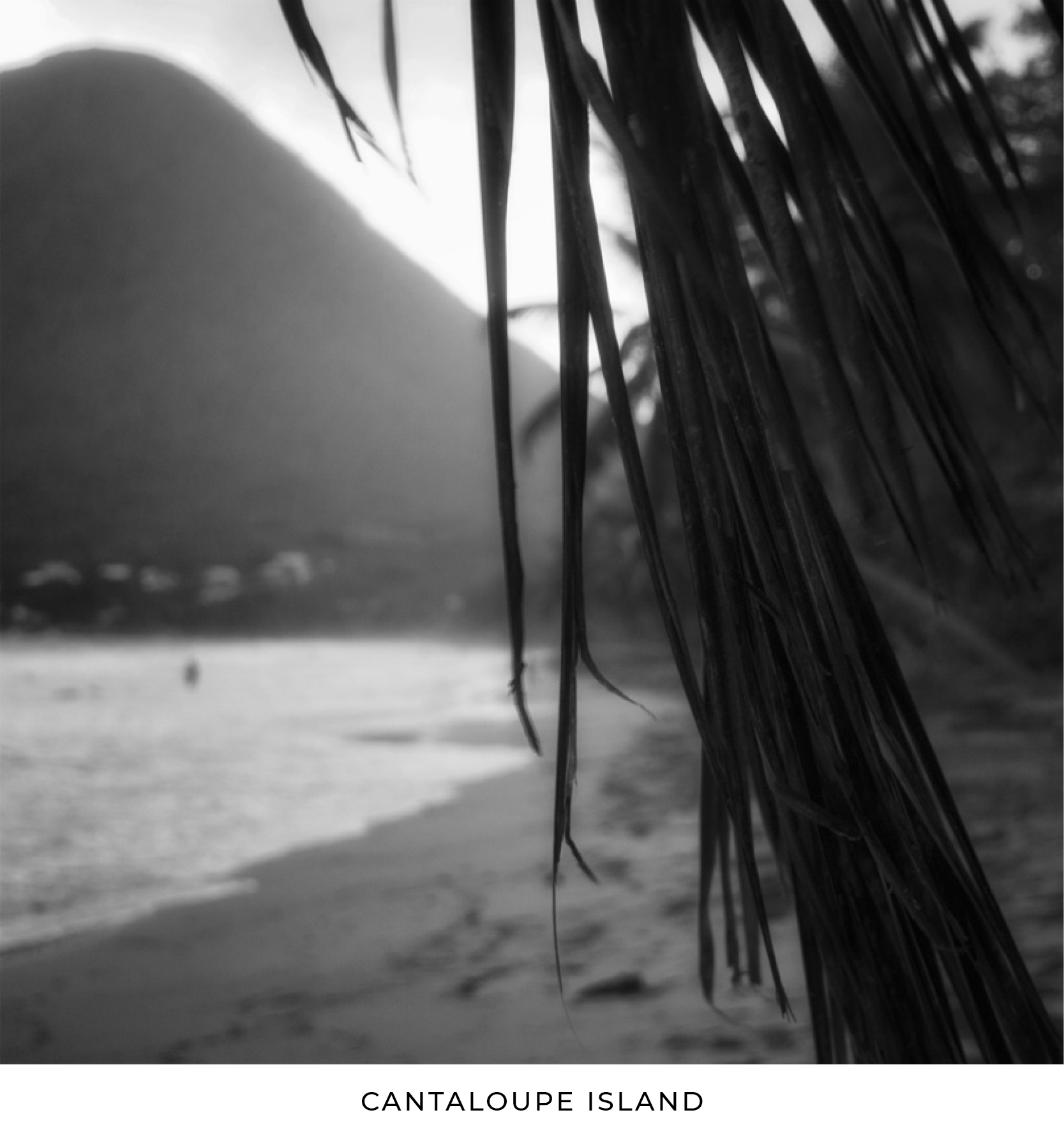 MyFavoriteThings6